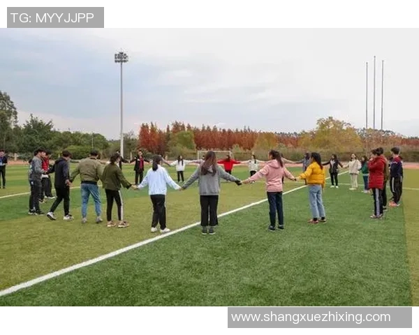 团队体育游戏大全探索多样化团队合作与竞技乐趣的最佳选择